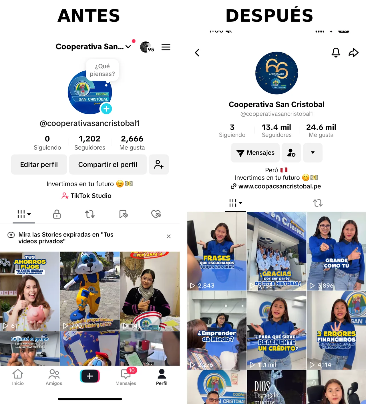 Resultados Reales Yellow Digital